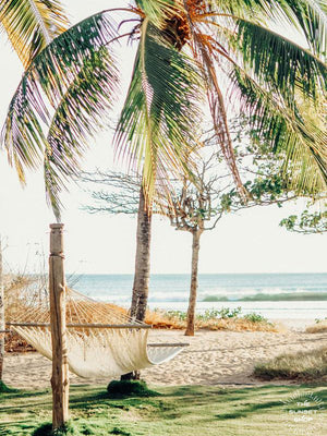 Ocean view hammock under palm trees in Costa Rica. Beach print at The Sunset Shop by Samba to the Sea.