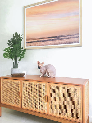 Ziggy the Sphinx cat modeling a pastel sunset wave framed photo print. Rattan console and Monstera plant for all the tropical boho vibes. "Hola Ola! - Hello Wave" Costa Rica sunset wave photo print photographed by Kristen M. Brown of Samba to the Sea for The Sunset Shop.