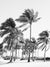 Close your eyes and transport yourself to a gorgeous tropical beach with dancing, palm trees in the sea breeze during your morning beach walk. "Key Biscayne Dreaming" black and white palm trees photo print in Miami, Florida by Kristen M. Brown of Samba to the Sea for The Sunset Shop.