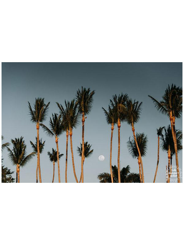 Full Moon Rising over palm trees Tamarindo, Costa Rica. Moon Magic palm tree print by Samba to the Sea at The Sunset Shop.