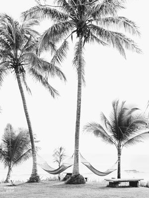Can you feel that ocean breeze and warm sunshine kissing your skin as you sway in that hammock right about now??? "No Palm-blems" is the perfect black and white print to help you have a piece of your happy place, no matter where you may live. Hammocks under palm trees at the beach in Costa Rica. Photo by Samba to the Sea.