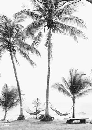 Can you feel that ocean breeze and warm sunshine kissing your skin as you sway in that hammock right about now??? "No Palm-blems" is the perfect black and white print to help you have a piece of your happy place, no matter where you may live. Hammocks under palm trees at the beach in Costa Rica. Photo by Samba to the Sea.
