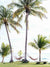 Ocean view hammocks under palm trees in Costa Rica. Beach print at The Sunset Shop by Samba to the Sea.