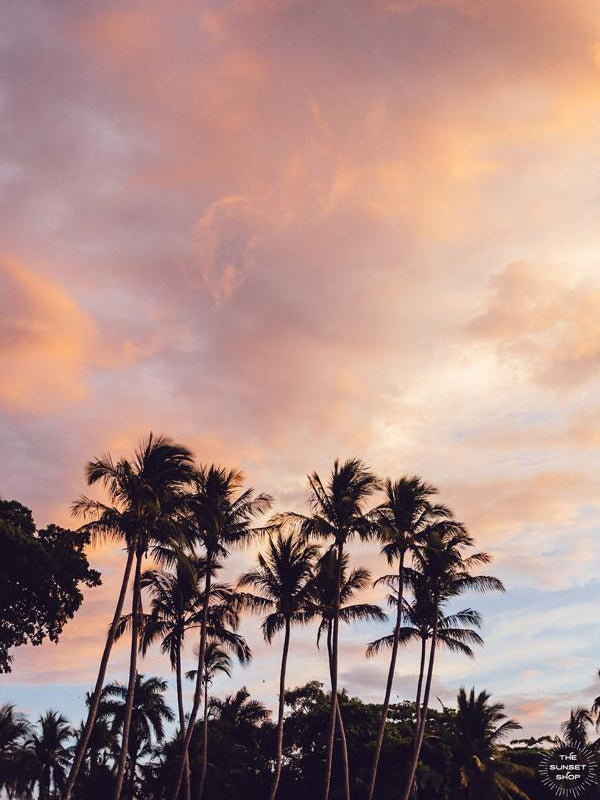 Beautiful palm tree silhouette with a cotton candy pink sunset sky in Costa Rica. Photographed by Samba to the Sea for The Sunset Shop.