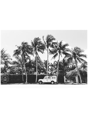 Black and white photo print of a vintage Land Rover Defender parked in front of palm trees in Palm Beach, Florida. Land Rover photo print by Kristen M. Brown of Samba to the Sea, available at The Sunset Shop