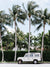 Vintage Land Rover Defender parked in front of palm trees in Palm Beach, Florida. Land Rover photo print by Kristen M. Brown of Samba to the Sea, available at The Sunset Shop