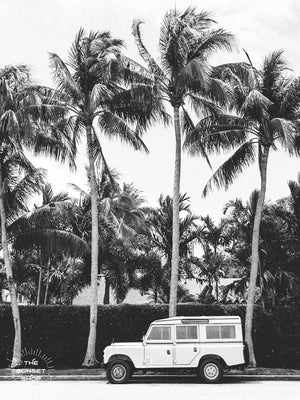 Black and white photo print of a vintage Land Rover Defender parked in front of palm trees in Palm Beach, Florida. Land Rover photo print by Kristen M. Brown of Samba to the Sea, available at The Sunset Shop