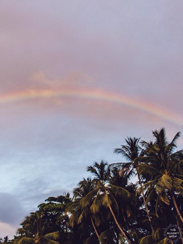 Rainbow over palm trees during sunset in Tamarindo Costa Rica. Photographed by Samba to the Sea for The Sunset Shop.