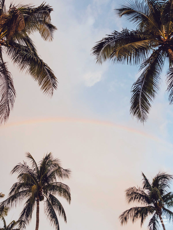 Just look up and you may find this is rainbow painting the sunrise sky in between the swaying palm trees. 🌅🌈🌴 Palm trees and a rainbow sunrise sky in Miami, Florida. Photographed by Kristen M. Brown, Samba to the Sea for The Sunset Shop.