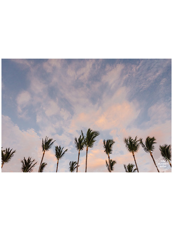 Palm trees swaying in the ocean breeze with a pastel pink cotton candy sunset sky in Costa Rica. Photographed by Samba to the Sea for The Sunset Shop. "Palms Palms Palms" sunset palm tree print.