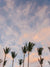 Palm trees swaying in the ocean breeze with a pastel pink cotton candy sunset sky in Costa Rica. Photographed by Samba to the Sea for The Sunset Shop. "Palms Palms Palms" sunset palm tree print.