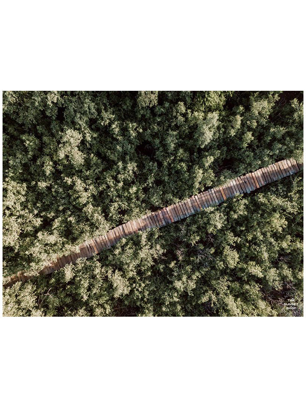 The epitome of a magical pathway to surf heaven. Can't you just imagine it's you, your surfboard, and your surf buddies walking through this dreamy mangrove boardwalk path to the beach to catch perfect waves in Costa Rica?! Aerial mangrove beach boardwalk path print "Pathway to Surf Heaven" by Samba to the Sea.