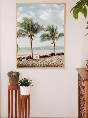 Beach palm trees in Costa Rica. Beach print at The Sunset Shop by Samba to the Sea.