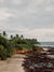 Aerial image of the the beach in Playa Junquillal Costa Rica. Aerial beach print by Samba to the Sea at The Sunset Shop.