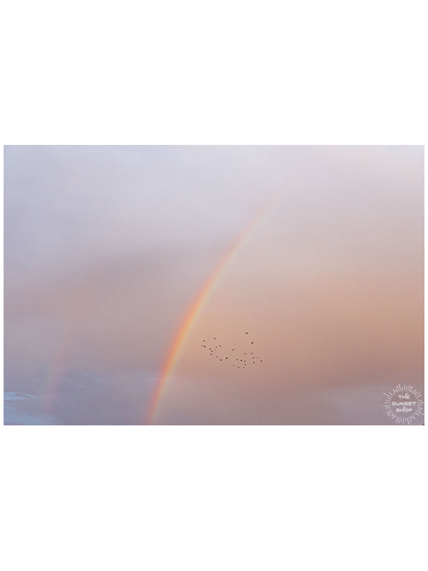 Double rainbow in a pastel pink sunset sky in Costa Rica. Photographed by Kristen M. Brown, Samba to the Sea for The Sunset Shop.