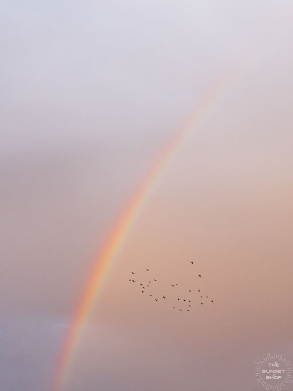 Double rainbow in a pastel pink sunset sky in Costa Rica. Photographed by Kristen M. Brown, Samba to the Sea for The Sunset Shop.