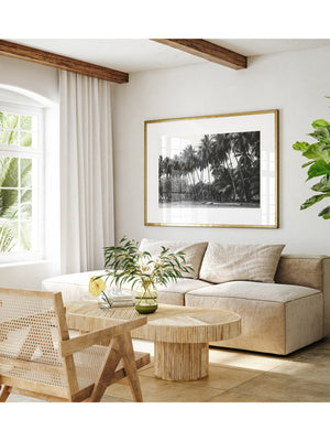 Spanish coastal living room with black and white palm trees and surfboards photography print Costa Rica. Fine Art Photos by Kristen M. Brown of Samba to the Sea for The Sunset Shop.