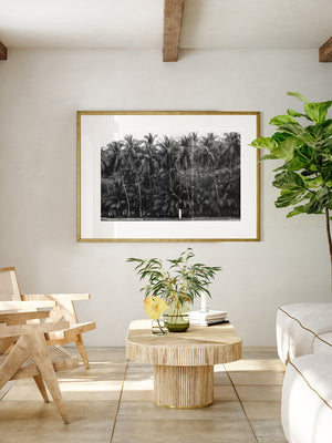 Spanish coastal living room with black and white palm trees and surfboards photography print Costa Rica. Fine Art Photos by Kristen M. Brown of Samba to the Sea for The Sunset Shop.