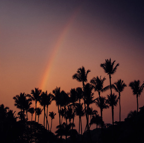 Palm trees and a rainbow sunset sky in Tamarindo Costa Rica. Photographed by Samba to the Sea for The Sunset Shop.