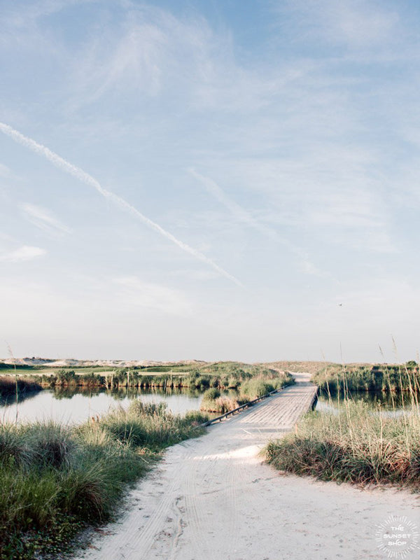 Beach path through the Ocean Course to the beach in Kiawah, Island South Carolina. Photographed by Kristen M. Brown, Samba to the Sea.