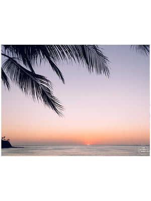 Beautiful palm tree silhouette with an ombre sunset sky over the ocean in Costa Rica. Photographed by Samba to the Sea for The Sunset Shop.