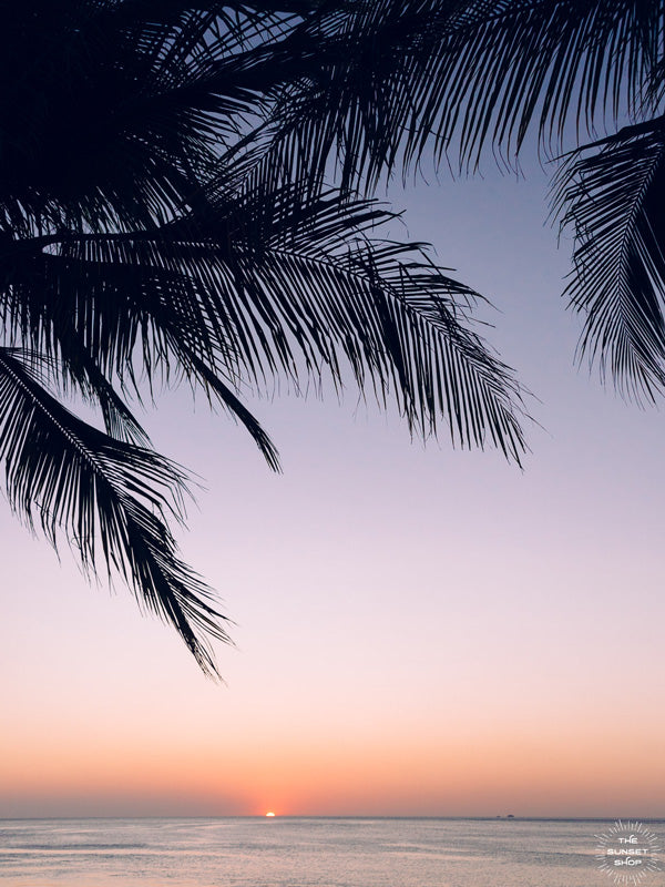 Beautiful palm tree silhouette with an ombre sunset sky over the ocean in Costa Rica. Photographed by Samba to the Sea for The Sunset Shop.