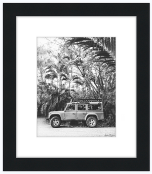 Tropical Sleigh - Framed 8"x10" print @ Faherty Brand King St CHS
