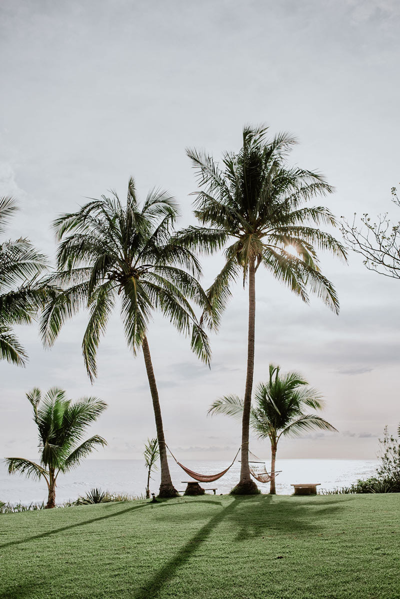 Ocean view hammock under palm trees in Costa Rica. Beach print at The Sunset Shop by Samba to the Sea.