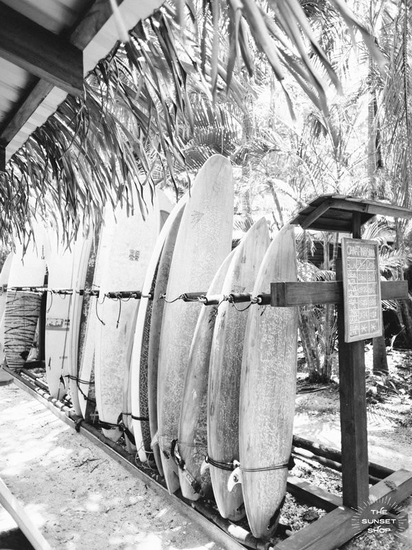 Eeny, meeny, miny, moe...pick your favorite wave sleigh and let's paddle out! Or better yet, pick one a day and try them all out! "Wave Sleighs" black and white black and white photo print of a quiver of surfboards in Nosara, Costa Rica.