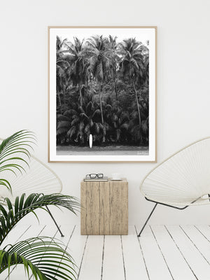 White boho tropical room with black and white palm trees and surfboards photography print Costa Rica. Fine Art Photos by Kristen M. Brown of Samba to the Sea for The Sunset Shop.