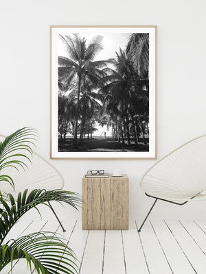White boho tropical room with black and white surfer girl and palm trees photography print Costa Rica. Fine Art Photos by Kristen M. Brown of Samba to the Sea for The Sunset Shop.