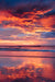 Pink sunset sky in Costa Rica. Wish You Were Here sunset print by Samba to the Sea at The Sunset Shop. 