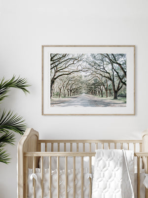 Dreamy Spanish Moss Live Oak trees lined driveway photography print hanging in a baby nursery over crib. Wormsloe Plantation in Savannah, Georgia photo print. Photographed by Kristen M. Brown, Samba to the Sea at The Sunset Shop.